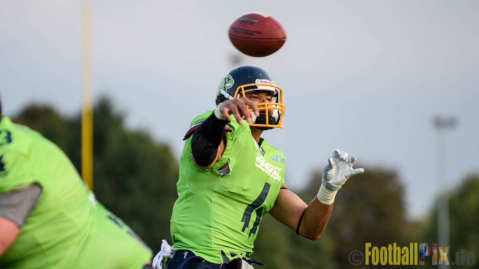 Langenfeld Longhorns vs. Essen Assindia Cardinals - 03.09.2017 GFL2: Langenfeld Longhorns vs. Essen Assindia Cardinals (45:30)