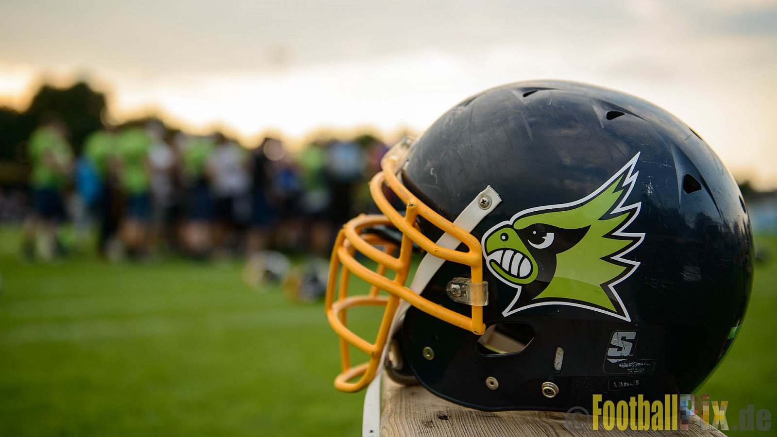 Langenfeld Longhorns vs. Essen Assindia Cardinals - 03.09.2017 GFL2: Langenfeld Longhorns vs. Essen Assindia Cardinals (45:30)