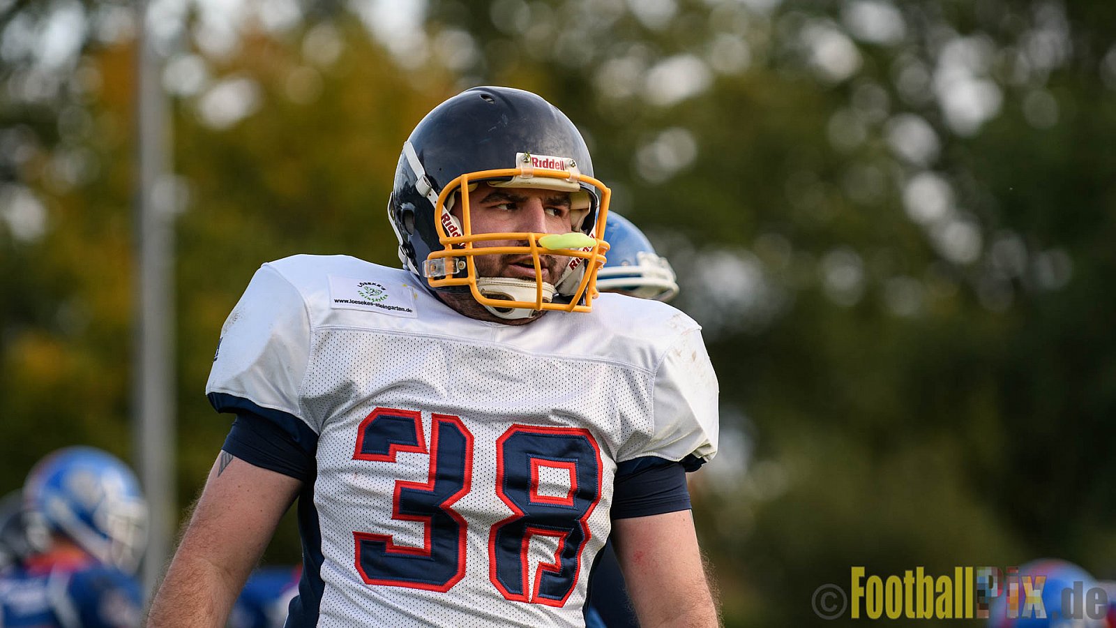 Bocholt Rhinos vs. Recklinghausen Chargers - 08.10.2017 VL NRW: Bocholt Rhinos vs. Recklinghausen Chargers (0:26)