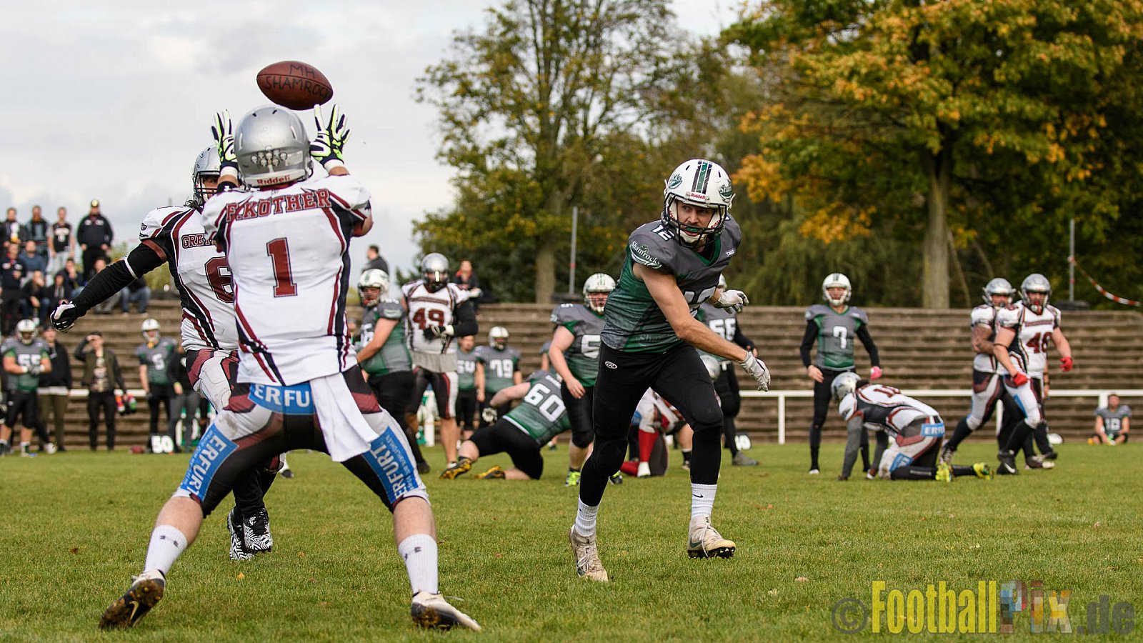 Mülheim Shamrocks vs. Wuppertal Greyhounds - 21.10.2017 VL NRW: Mülheim Shamrocks vs. Wuppertal Greyhounds (0:14)