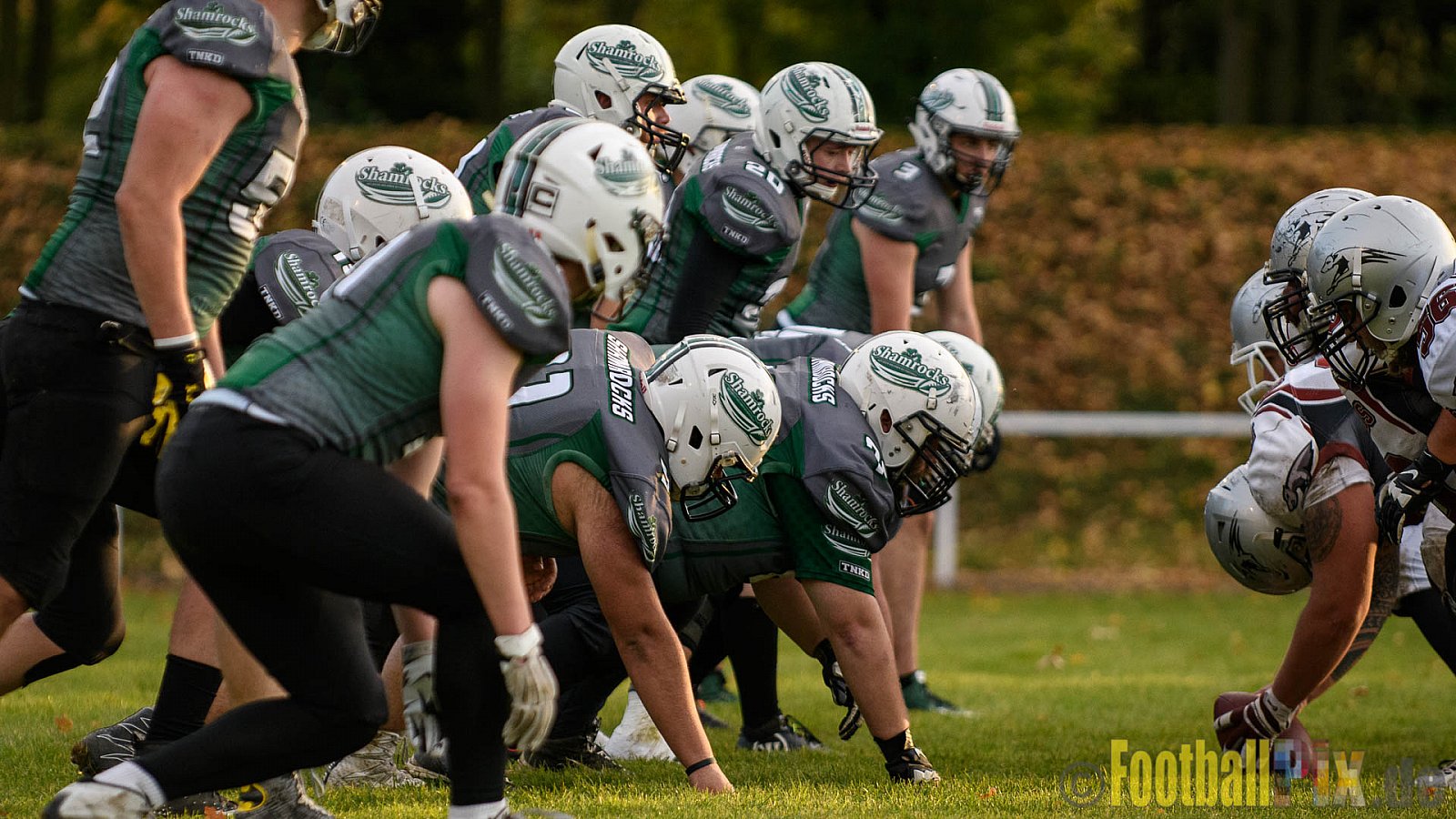 Mülheim Shamrocks vs. Wuppertal Greyhounds - 21.10.2017 VL NRW: Mülheim Shamrocks vs. Wuppertal Greyhounds (0:14)