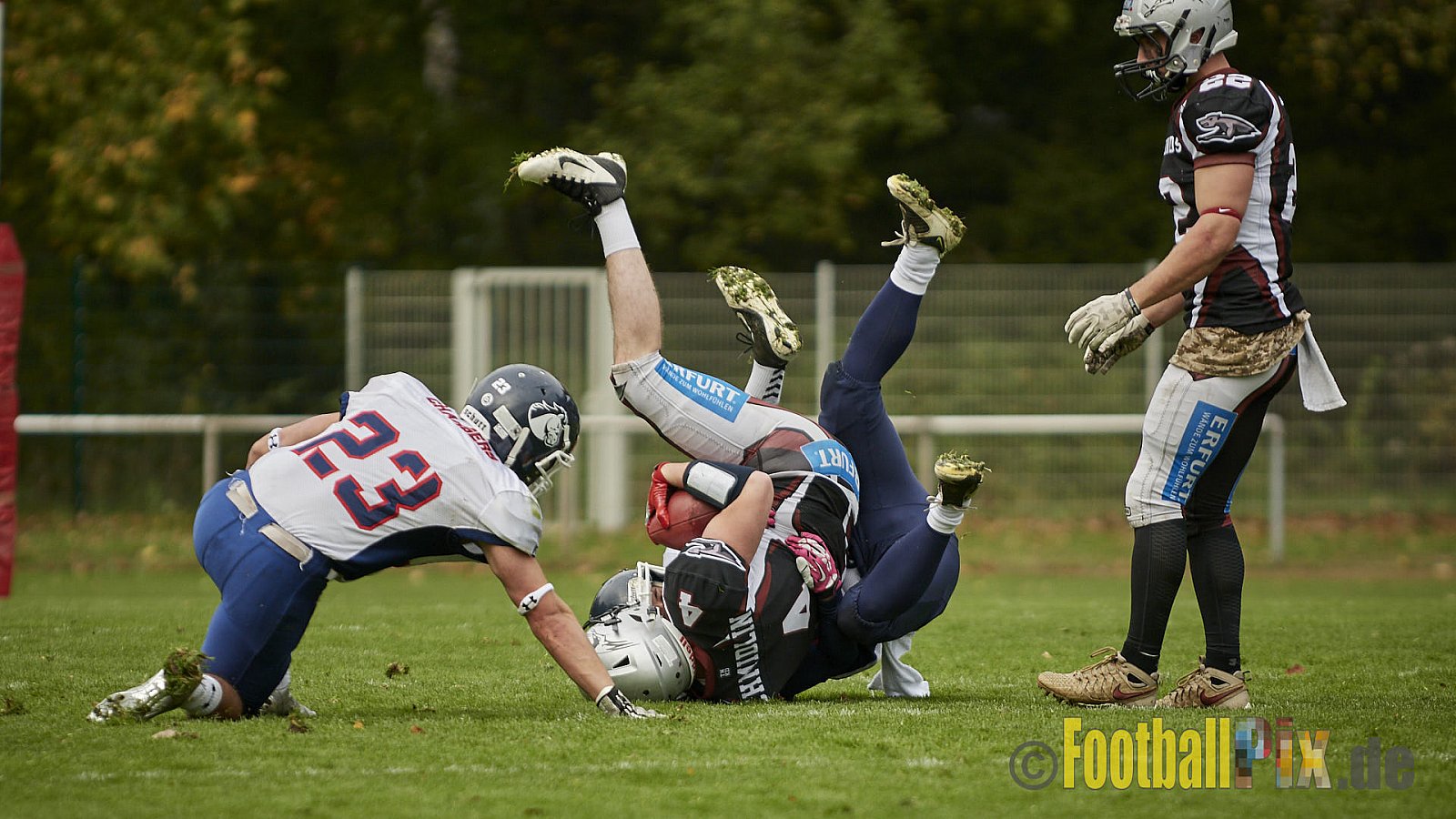 Wuppertal Greyhounds vs. Recklinghausen Chargers - 31.10.2017 VL NRW: Wuppertal Greyhounds vs. Recklinghausen Chargers (8:10)