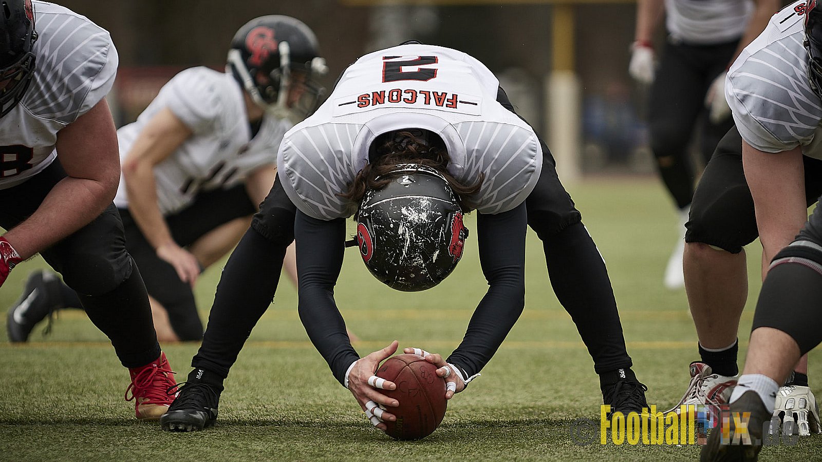 Cologne Falcons vs. Aachen Vampires - 10.03.2018 Pre-Season Game: Cologne Falcons vs. Aachen Vampires (31:10)