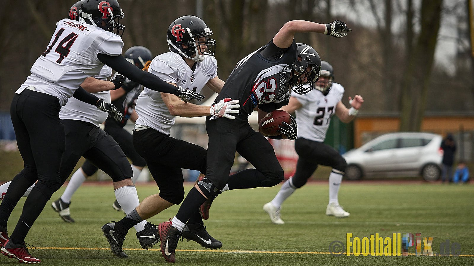 Cologne Falcons vs. Aachen Vampires - 10.03.2018 Pre-Season Game: Cologne Falcons vs. Aachen Vampires (31:10)