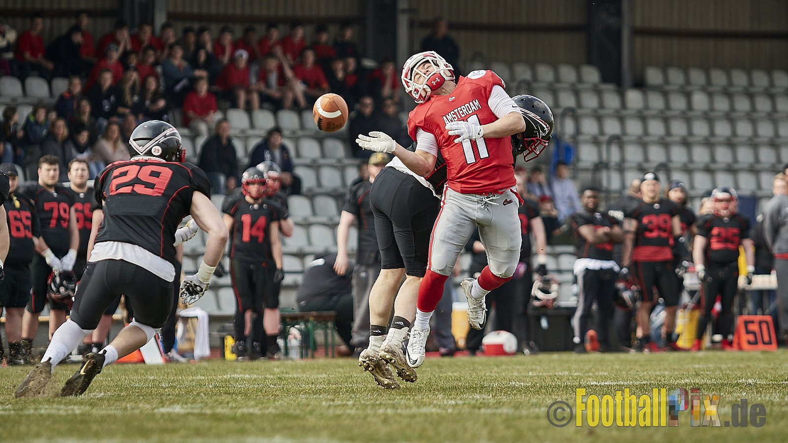 Düsseldorf Panther vs. Amsterdam Crusaders  - 25.03.2018 Pre-Season Game: Düsseldorf Panther vs. Amsterdam Crusaders (7:20)