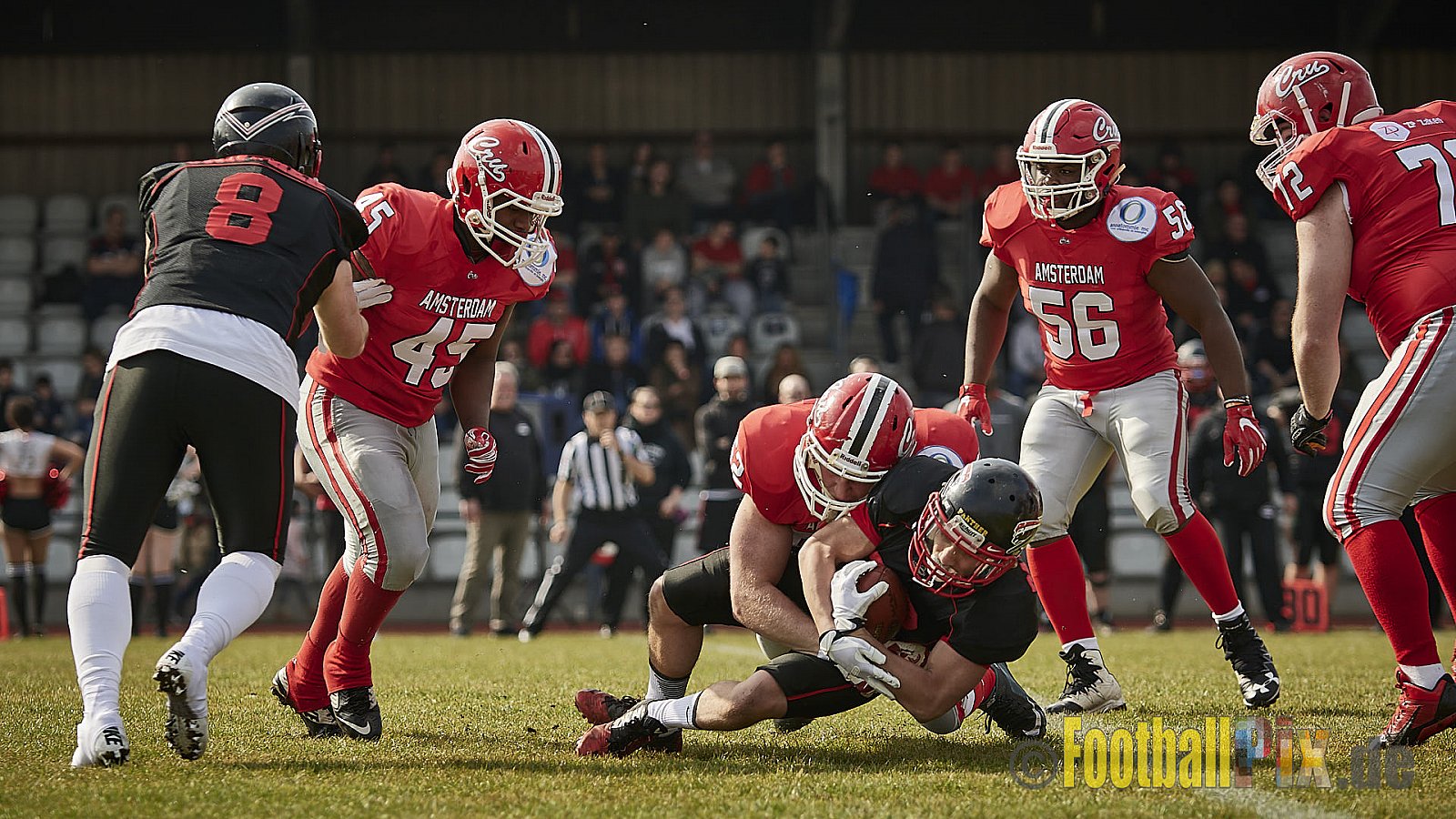 Düsseldorf Panther vs. Amsterdam Crusaders  - 25.03.2018 Pre-Season Game: Düsseldorf Panther vs. Amsterdam Crusaders (7:20)