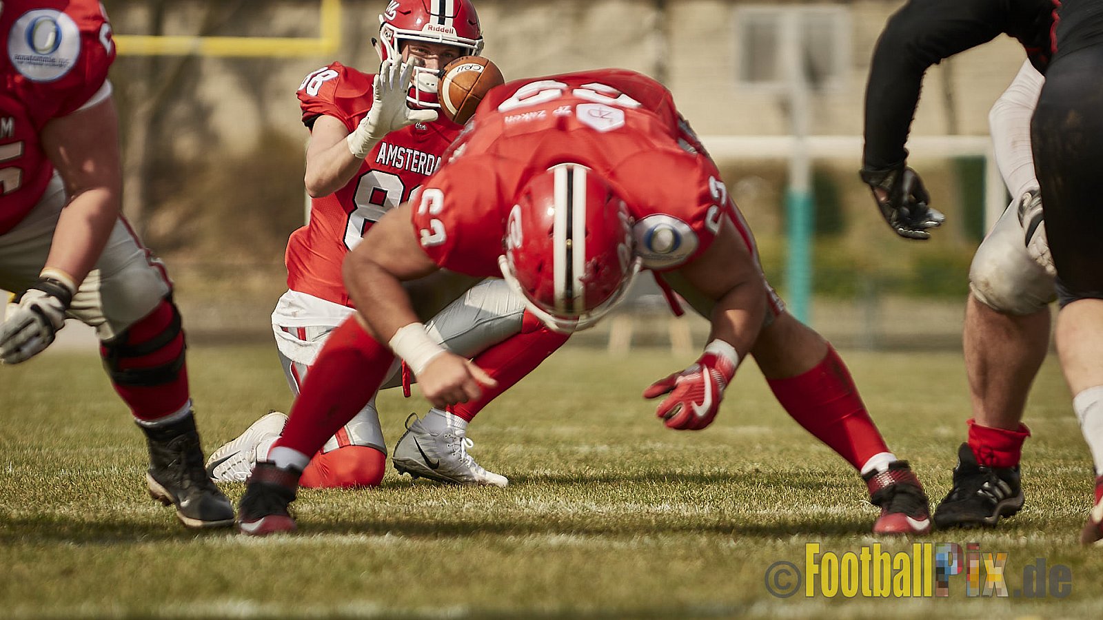 Düsseldorf Panther vs. Amsterdam Crusaders  - 25.03.2018 Pre-Season Game: Düsseldorf Panther vs. Amsterdam Crusaders (7:20)