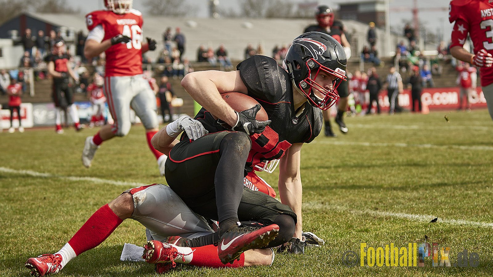 Düsseldorf Panther vs. Amsterdam Crusaders  - 25.03.2018 Pre-Season Game: Düsseldorf Panther vs. Amsterdam Crusaders (7:20)