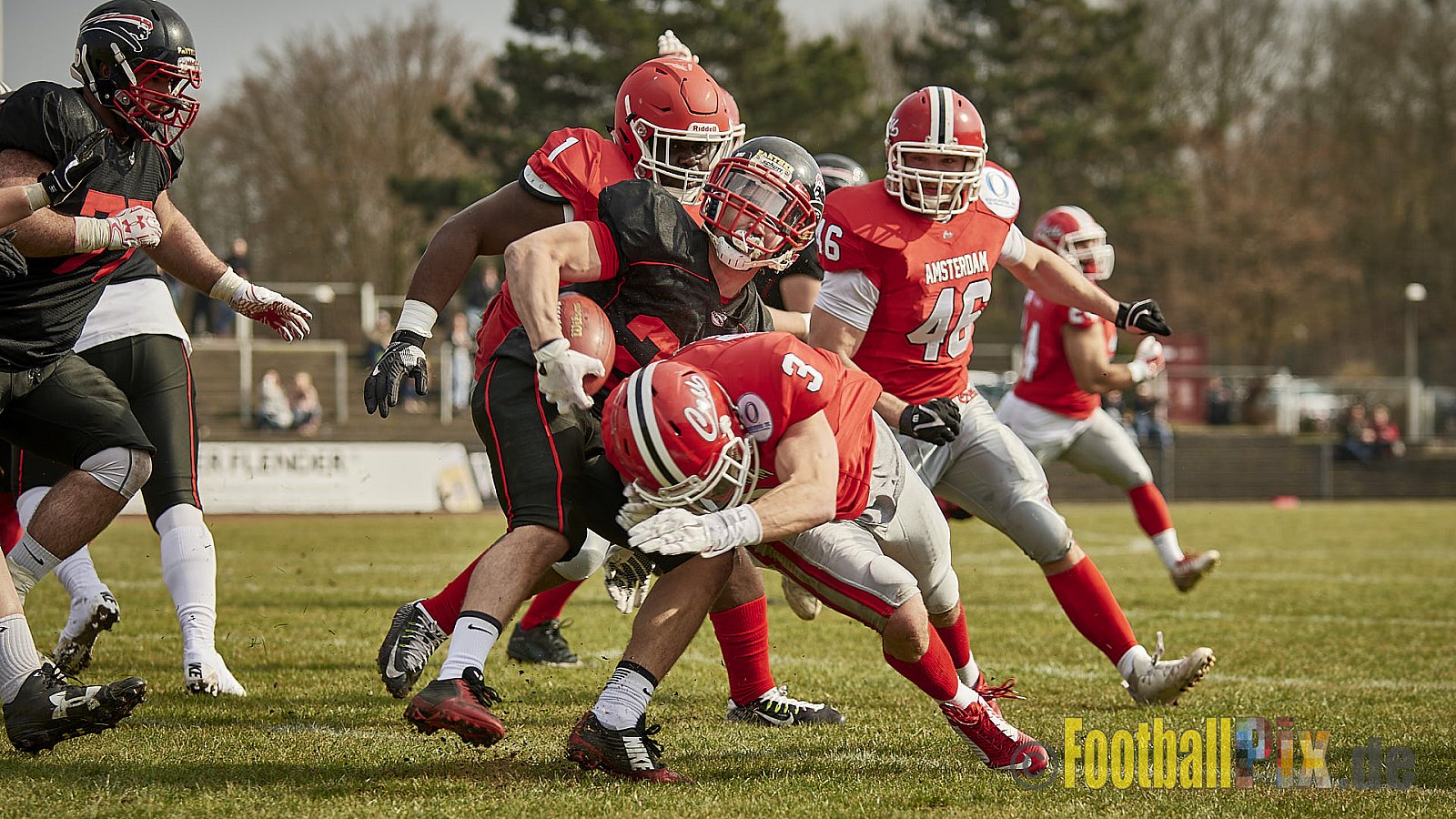Düsseldorf Panther vs. Amsterdam Crusaders  - 25.03.2018 Pre-Season Game: Düsseldorf Panther vs. Amsterdam Crusaders (7:20)