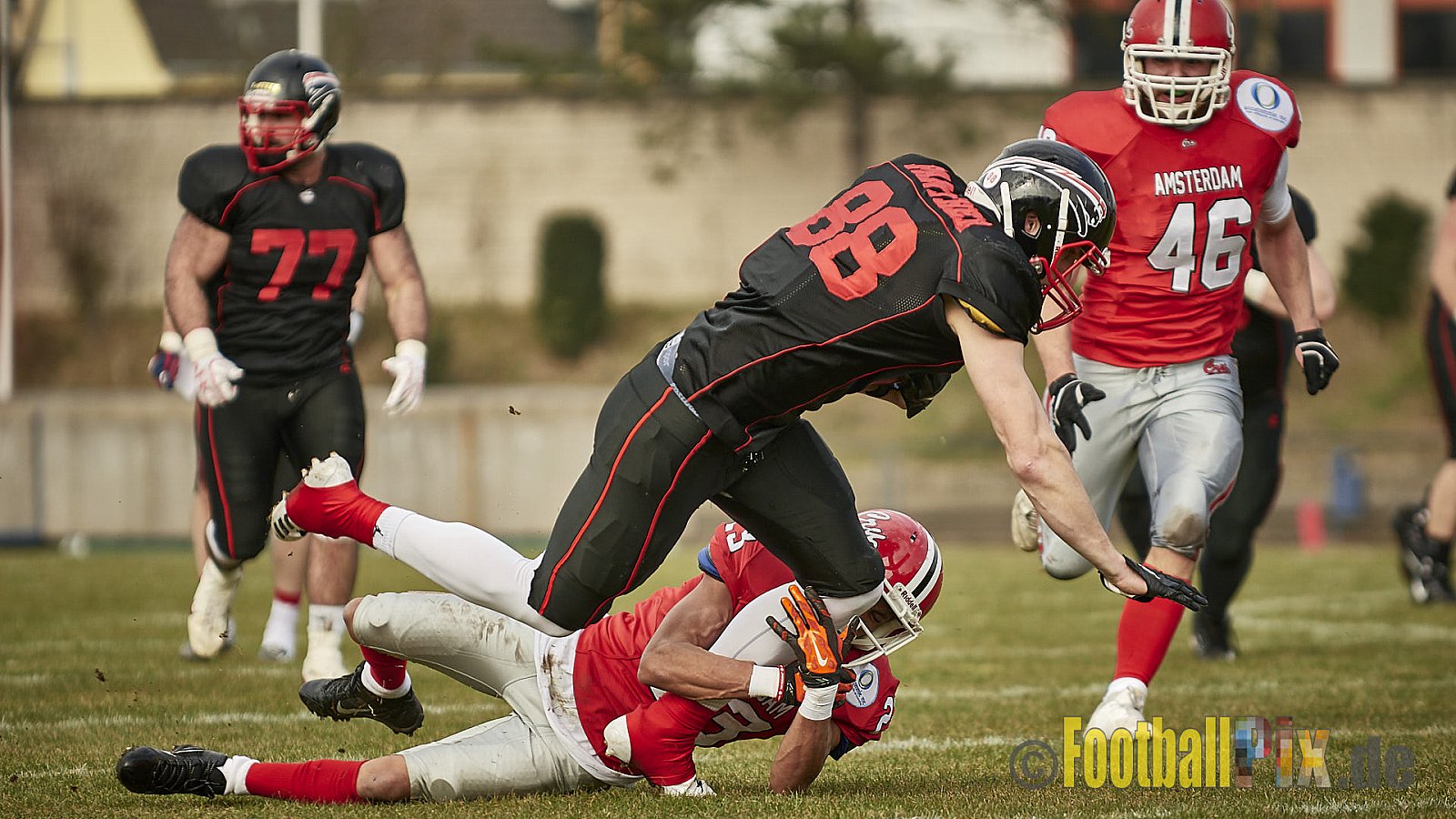 Düsseldorf Panther vs. Amsterdam Crusaders  - 25.03.2018 Pre-Season Game: Düsseldorf Panther vs. Amsterdam Crusaders (7:20)