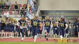 Essen Assindia Cardinals vs. Cologne Falcons - EssenAssindiaCardinalsVsCologneFalcons