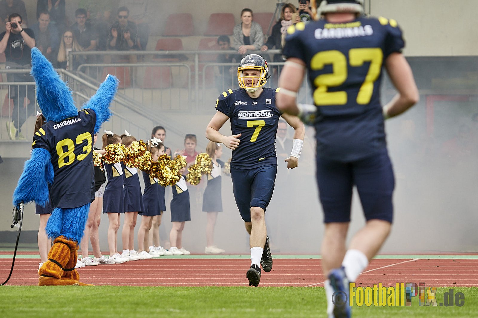 Essen Assindia Cardinals vs. Cologne Falcons - EssenAssindiaCardinalsVsCologneFalcons