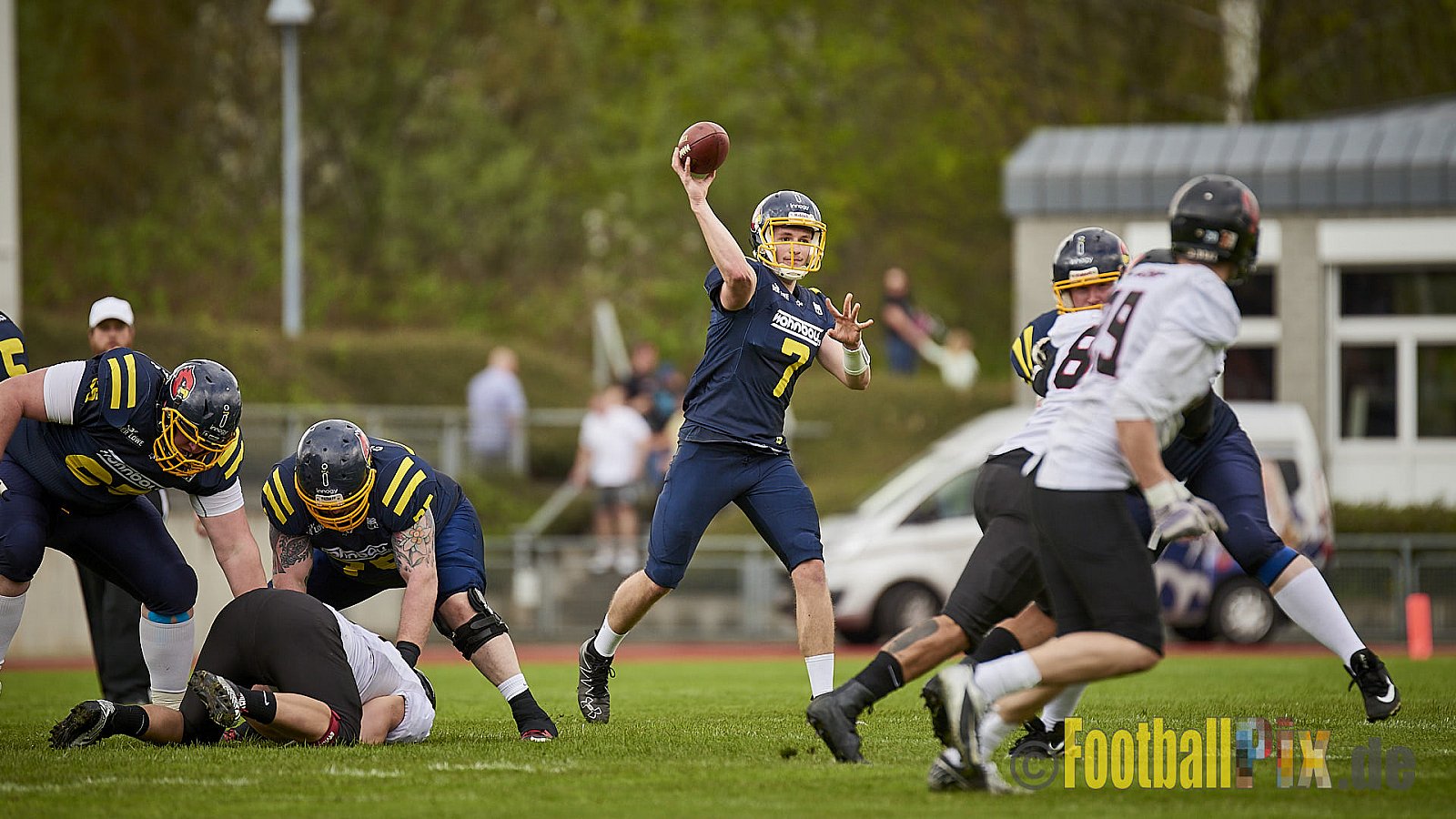 Essen Assindia Cardinals vs. Cologne Falcons - EssenAssindiaCardinalsVsCologneFalcons