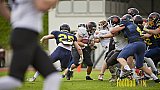 Essen Assindia Cardinals vs. Cologne Falcons - EssenAssindiaCardinalsVsCologneFalcons