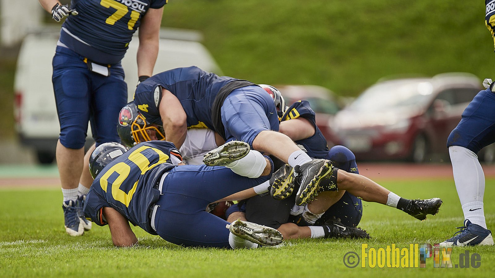 Essen Assindia Cardinals vs. Cologne Falcons - EssenAssindiaCardinalsVsCologneFalcons