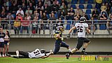 Essen Assindia Cardinals vs. Cologne Falcons - EssenAssindiaCardinalsVsCologneFalcons