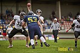 Essen Assindia Cardinals vs. Cologne Falcons - EssenAssindiaCardinalsVsCologneFalcons