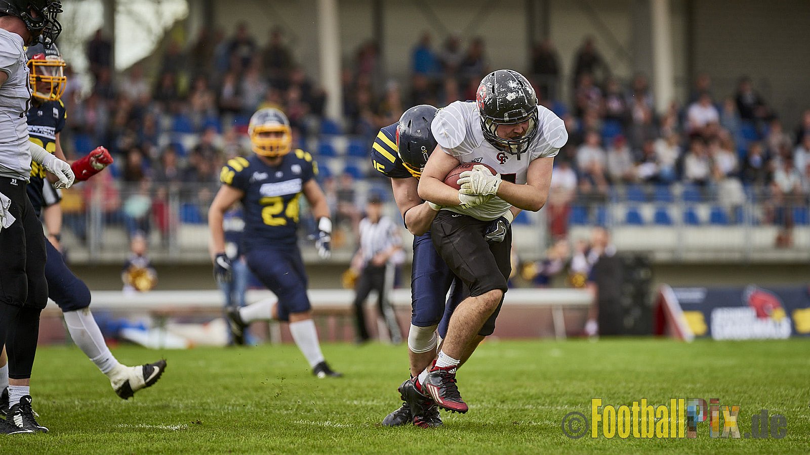 Essen Assindia Cardinals vs. Cologne Falcons - EssenAssindiaCardinalsVsCologneFalcons
