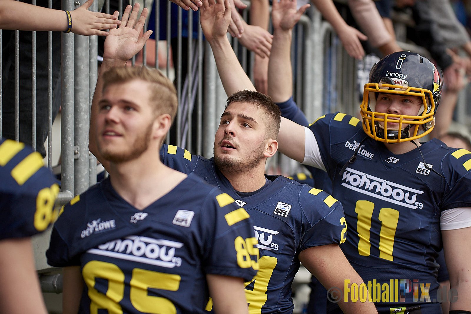 Essen Assindia Cardinals vs. Cologne Falcons - EssenAssindiaCardinalsVsCologneFalcons