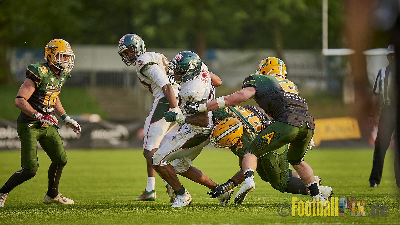 Cologne Crocodiles vs. Kiel Baltic Hurricanes  - 21.04.2018 GFL Nord: Cologne Crocodiles vs. Kiel Baltic Hurricanes (32:14)