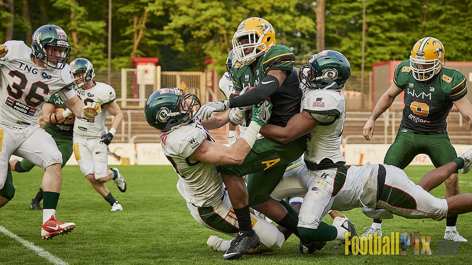 Cologne Crocodiles vs. Kiel Baltic Hurricanes  - 21.04.2018 GFL Nord: Cologne Crocodiles vs. Kiel Baltic Hurricanes (32:14)