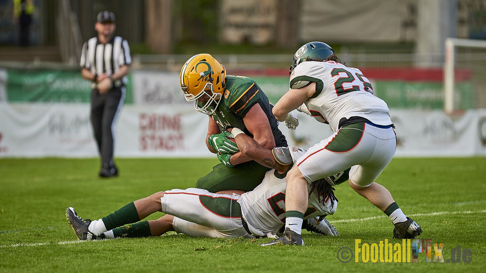 Cologne Crocodiles vs. Kiel Baltic Hurricanes  - 21.04.2018 GFL Nord: Cologne Crocodiles vs. Kiel Baltic Hurricanes (32:14)