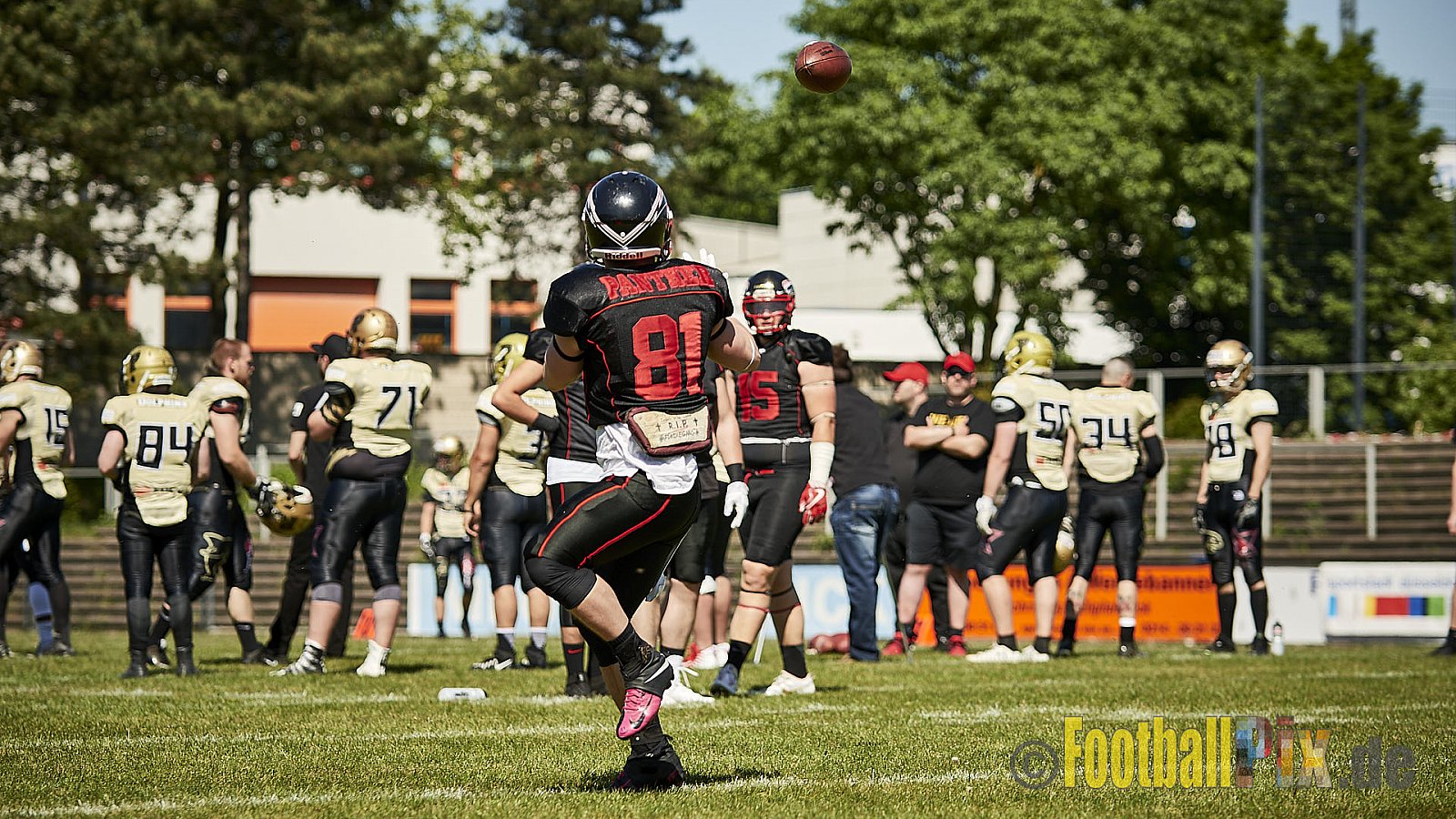 Düsseldorf Panther vs. Paderborn Dolphins - DPantherVsPaderbornDolphins