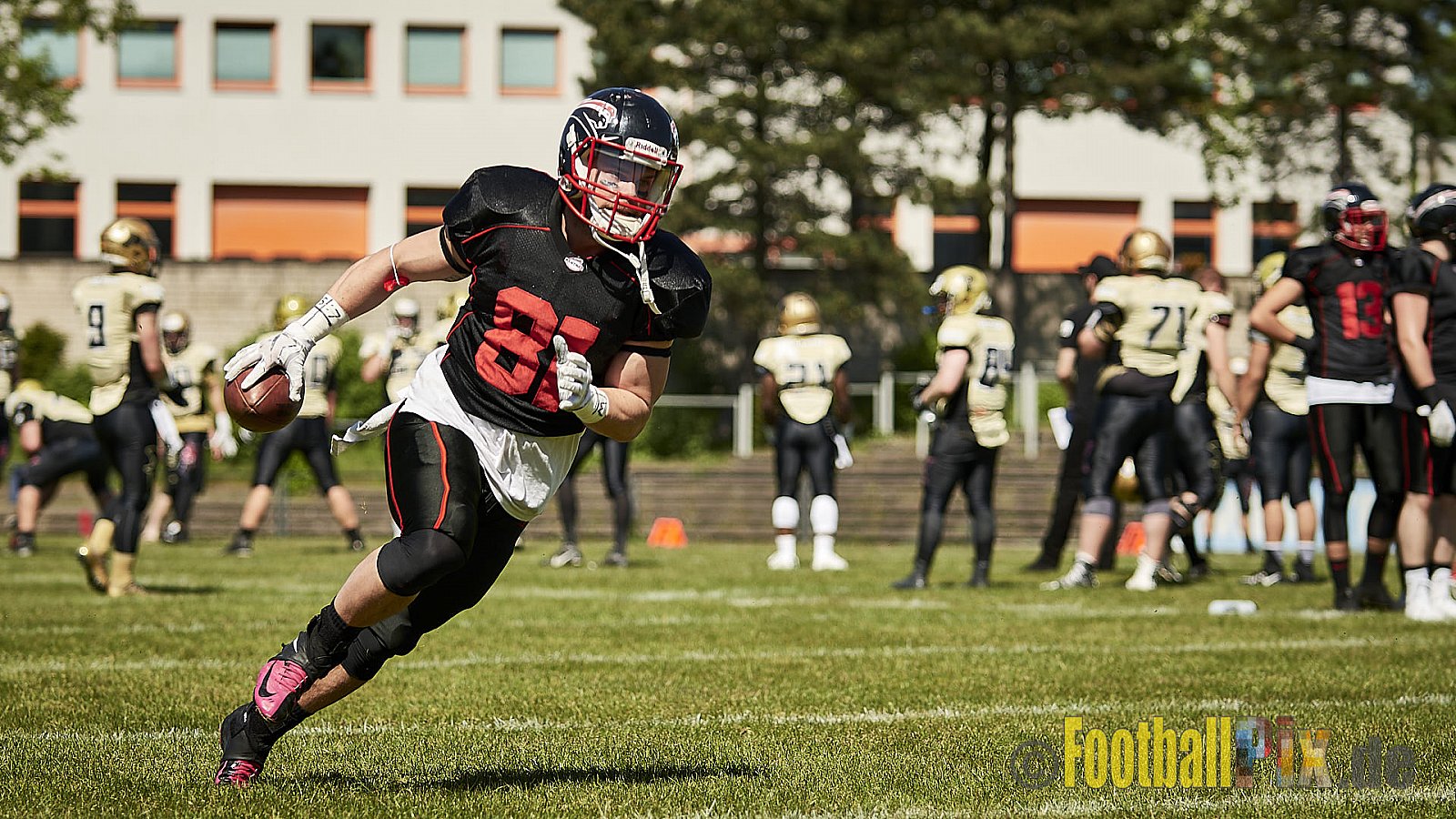 Düsseldorf Panther vs. Paderborn Dolphins - DPantherVsPaderbornDolphins