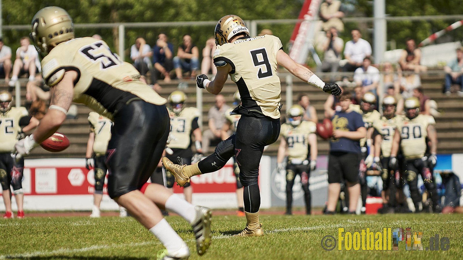 Düsseldorf Panther vs. Paderborn Dolphins - DPantherVsPaderbornDolphins