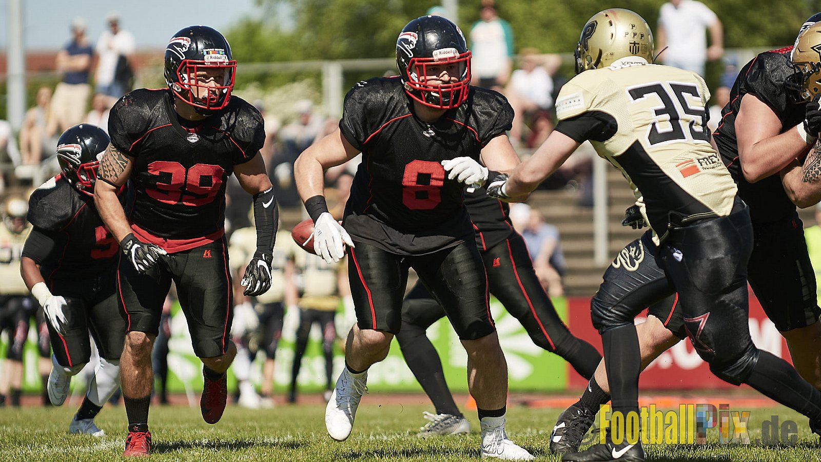 Düsseldorf Panther vs. Paderborn Dolphins - DPantherVsPaderbornDolphins
