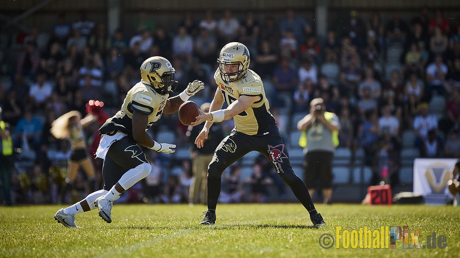 Düsseldorf Panther vs. Paderborn Dolphins - DPantherVsPaderbornDolphins