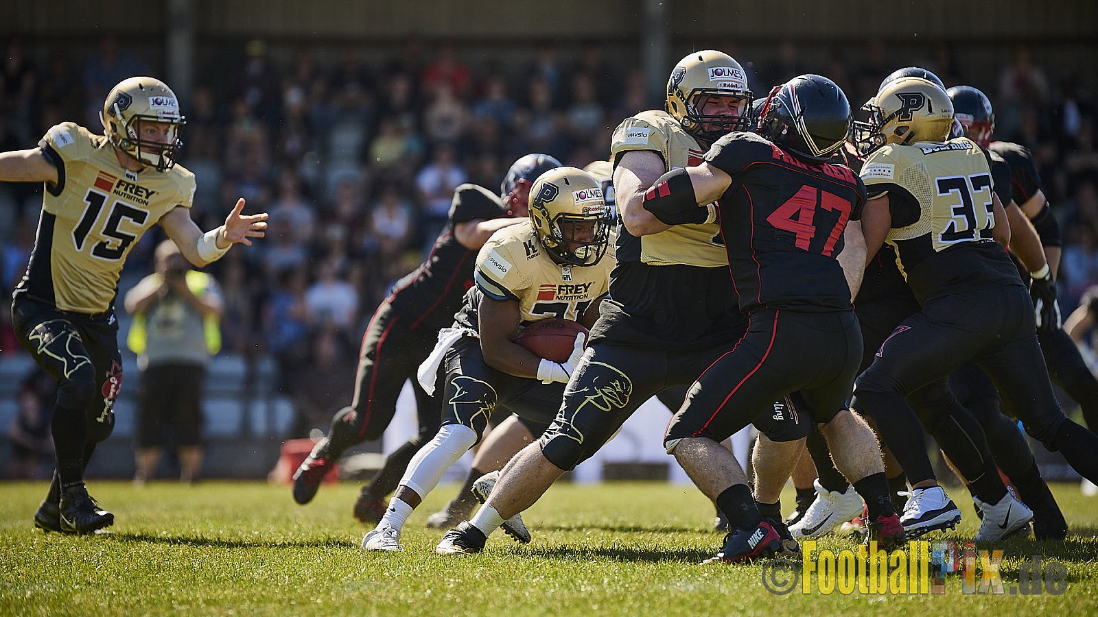 Düsseldorf Panther vs. Paderborn Dolphins - DPantherVsPaderbornDolphins
