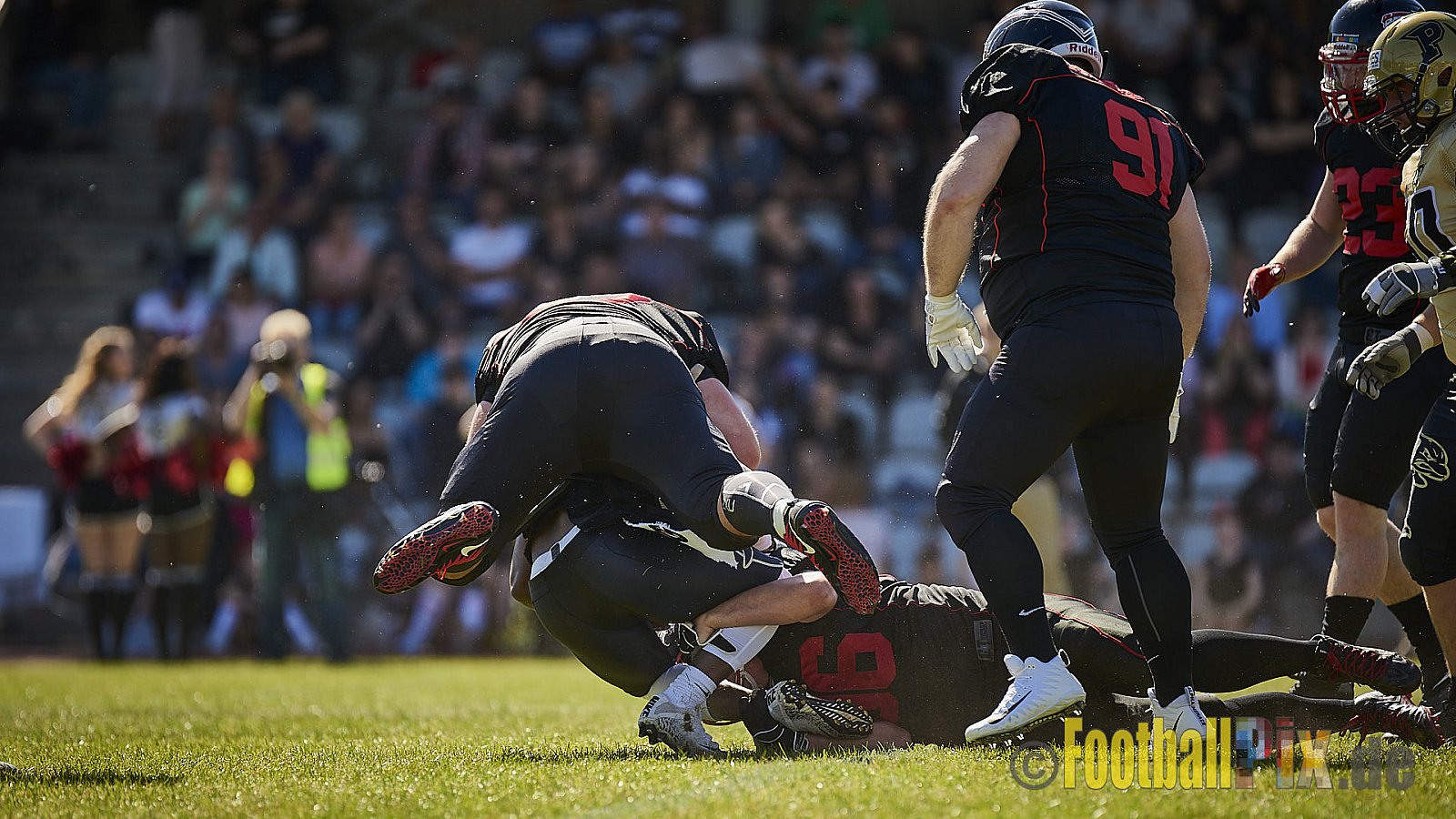 Düsseldorf Panther vs. Paderborn Dolphins - DPantherVsPaderbornDolphins