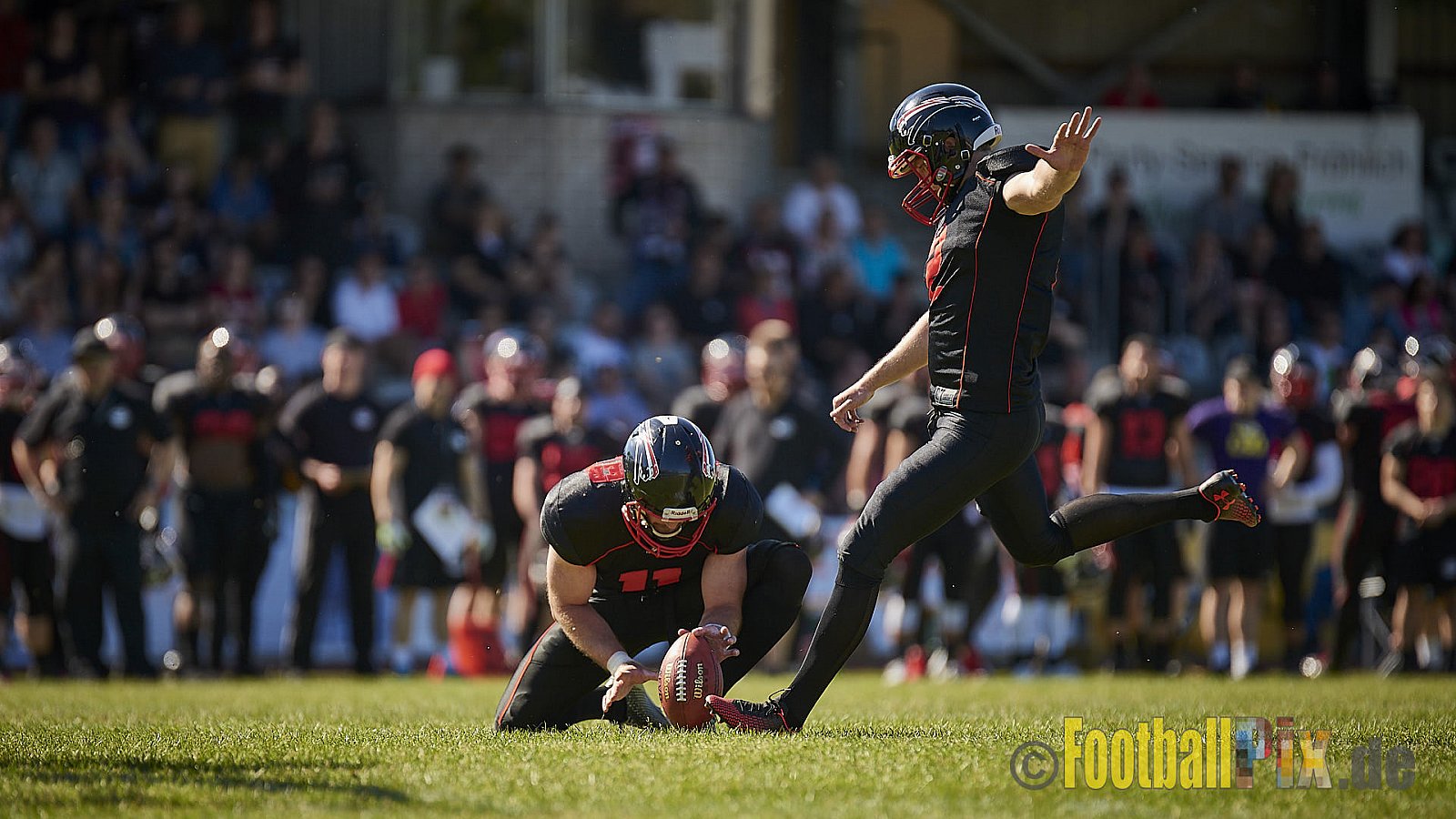 Düsseldorf Panther vs. Paderborn Dolphins - DPantherVsPaderbornDolphins