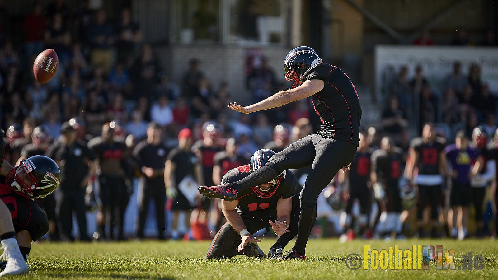 Düsseldorf Panther vs. Paderborn Dolphins - DPantherVsPaderbornDolphins