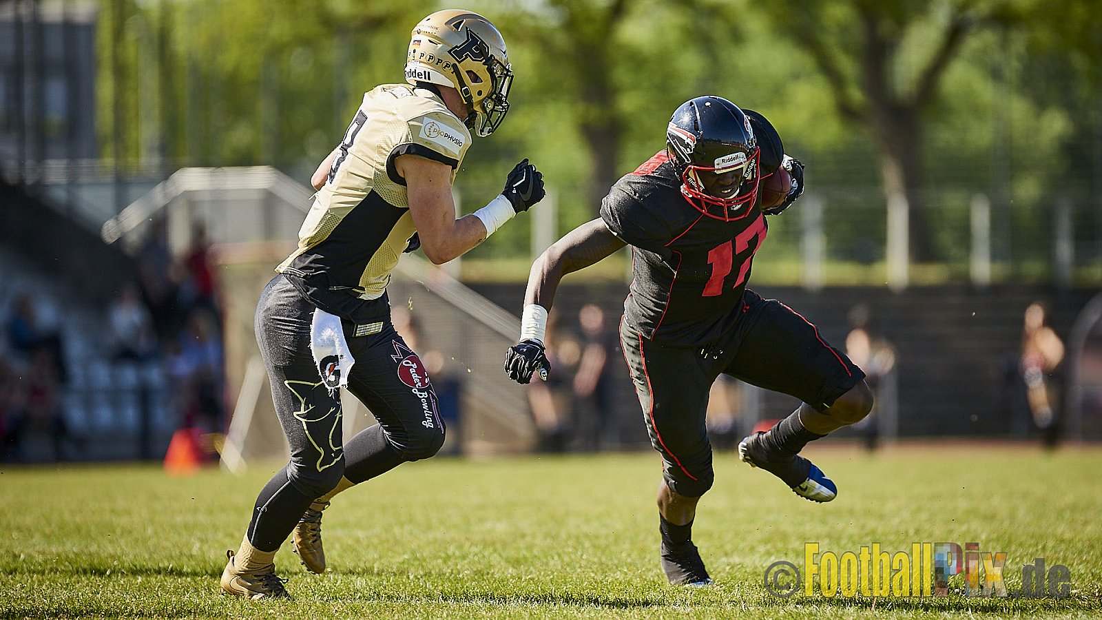 Düsseldorf Panther vs. Paderborn Dolphins - DPantherVsPaderbornDolphins
