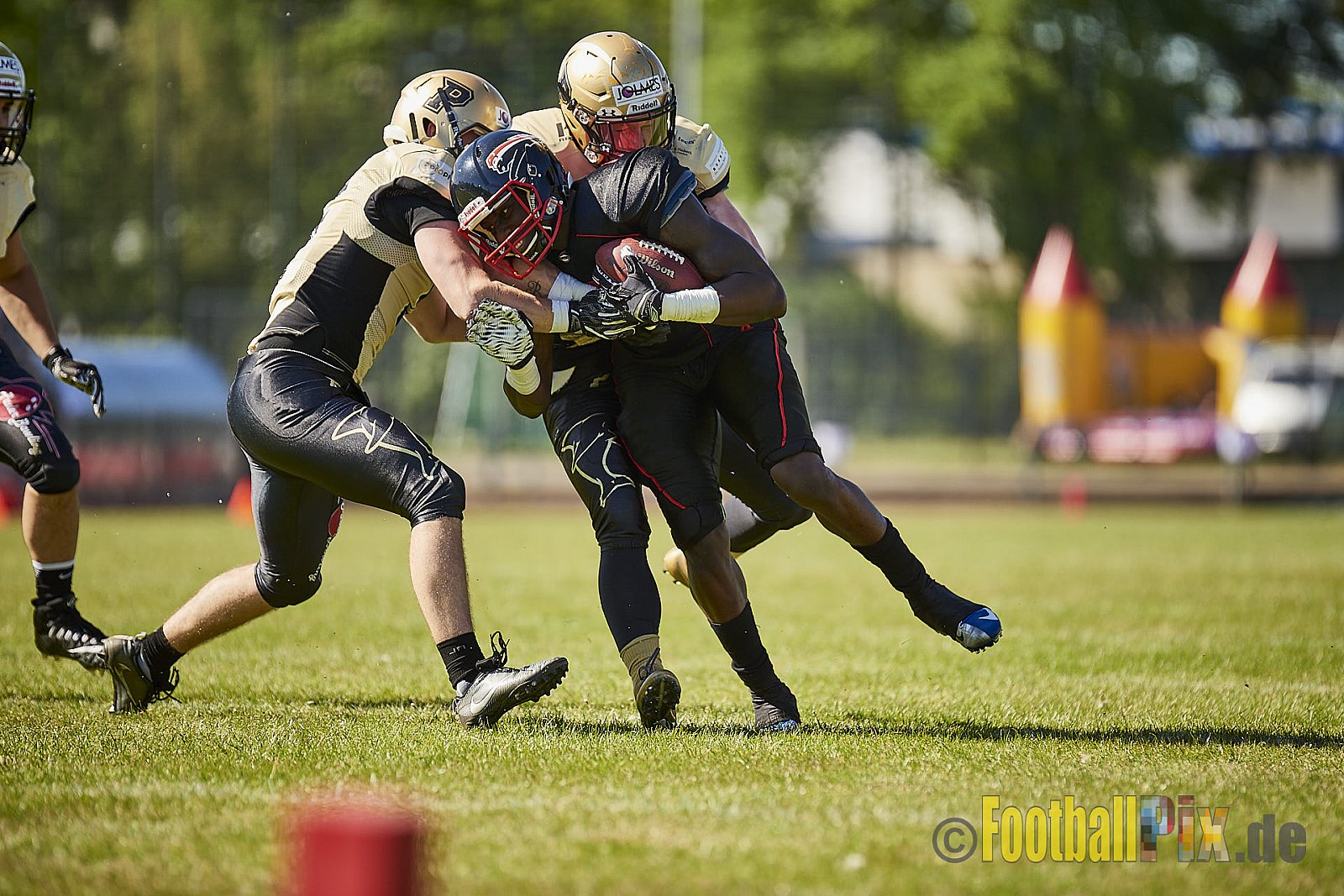 Düsseldorf Panther vs. Paderborn Dolphins - DPantherVsPaderbornDolphins