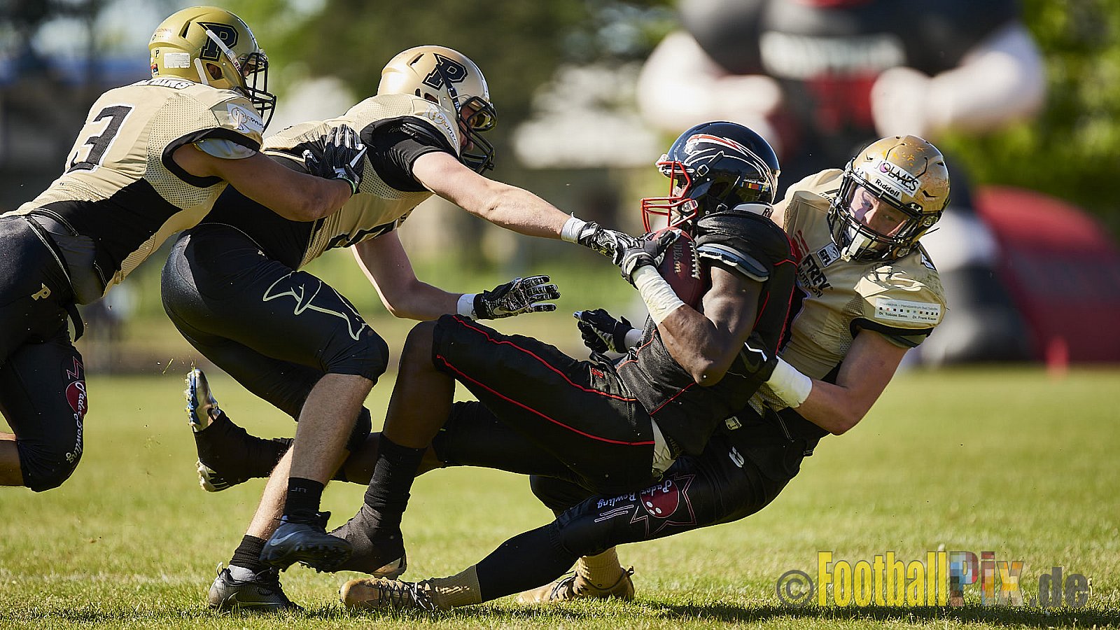 Düsseldorf Panther vs. Paderborn Dolphins - DPantherVsPaderbornDolphins