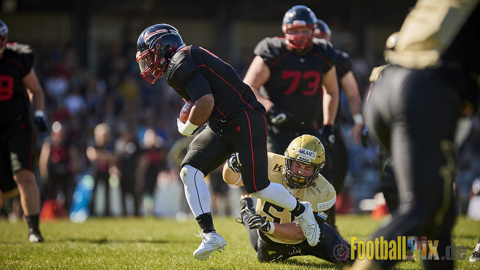 Düsseldorf Panther vs. Paderborn Dolphins - DPantherVsPaderbornDolphins