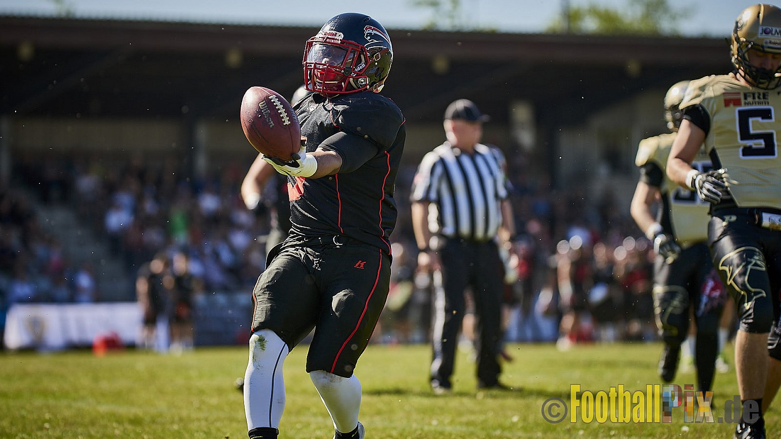 Düsseldorf Panther vs. Paderborn Dolphins - DPantherVsPaderbornDolphins