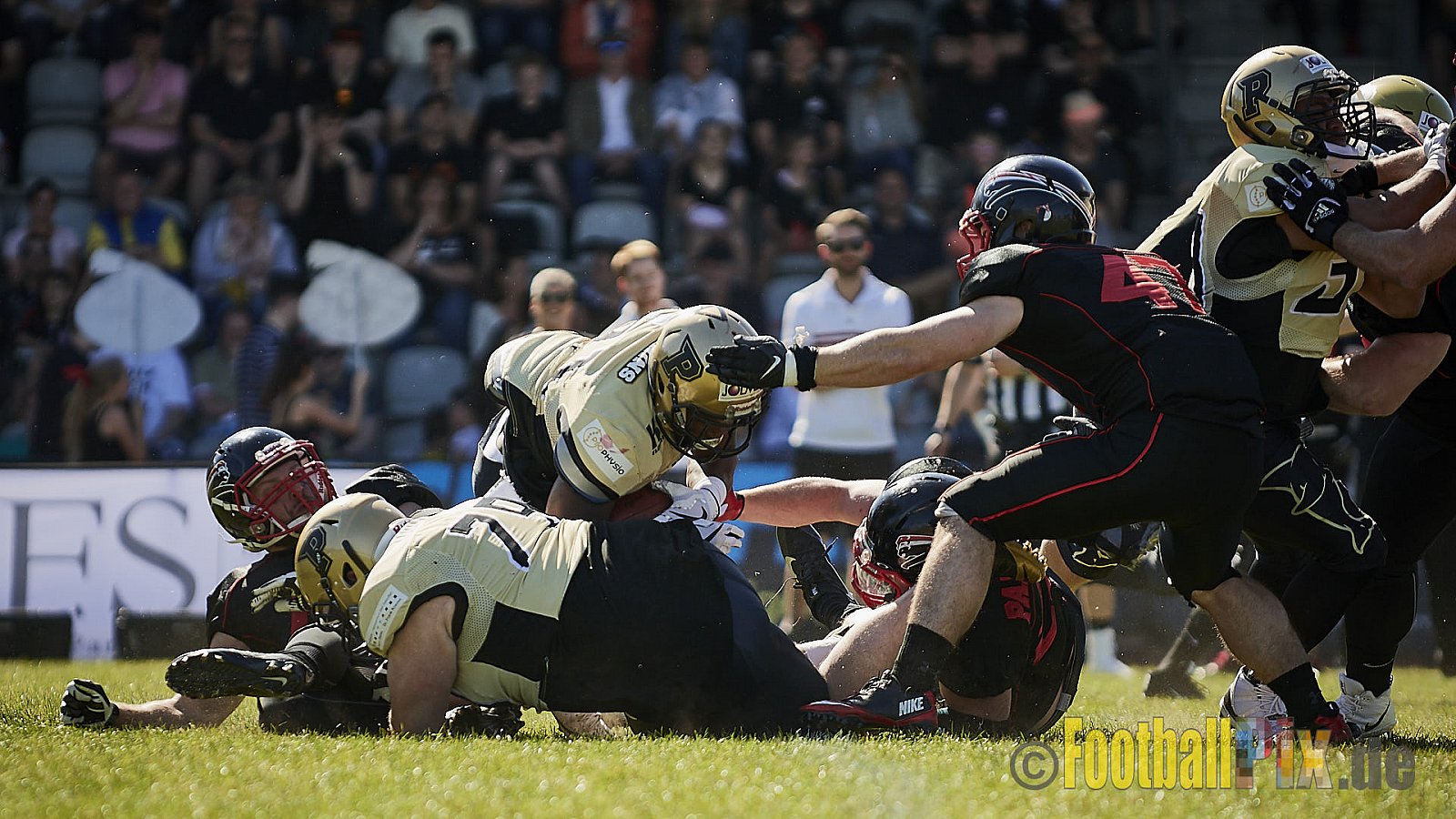 Düsseldorf Panther vs. Paderborn Dolphins - DPantherVsPaderbornDolphins
