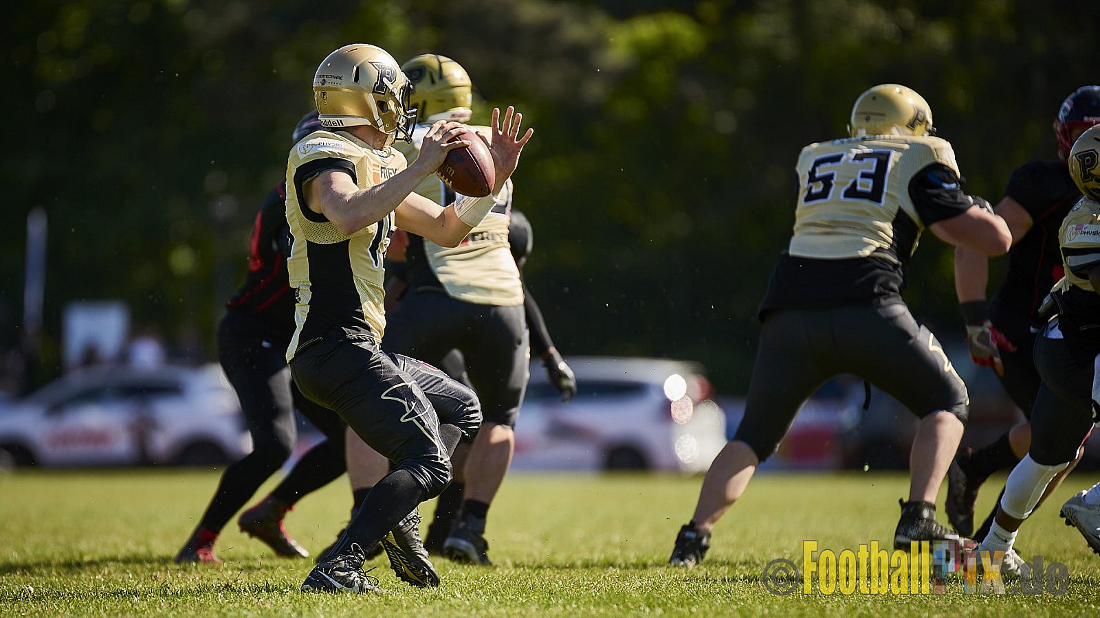 Düsseldorf Panther vs. Paderborn Dolphins - DPantherVsPaderbornDolphins