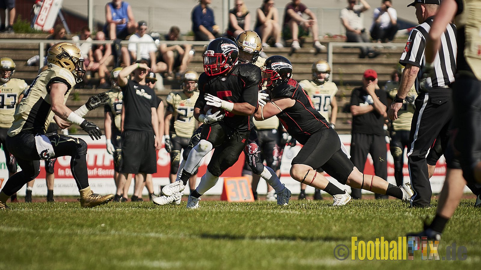 Düsseldorf Panther vs. Paderborn Dolphins - DPantherVsPaderbornDolphins