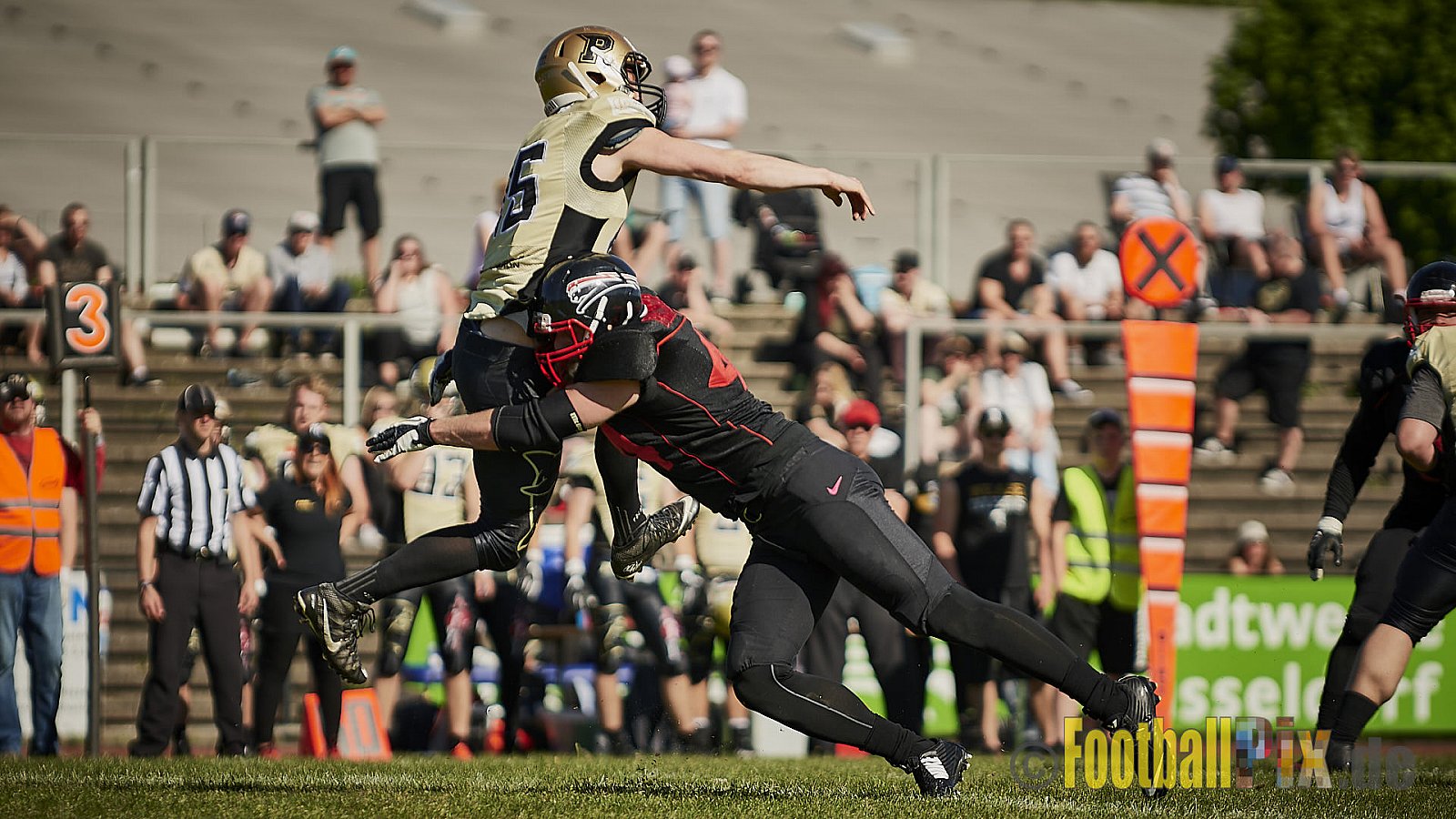Düsseldorf Panther vs. Paderborn Dolphins - DPantherVsPaderbornDolphins