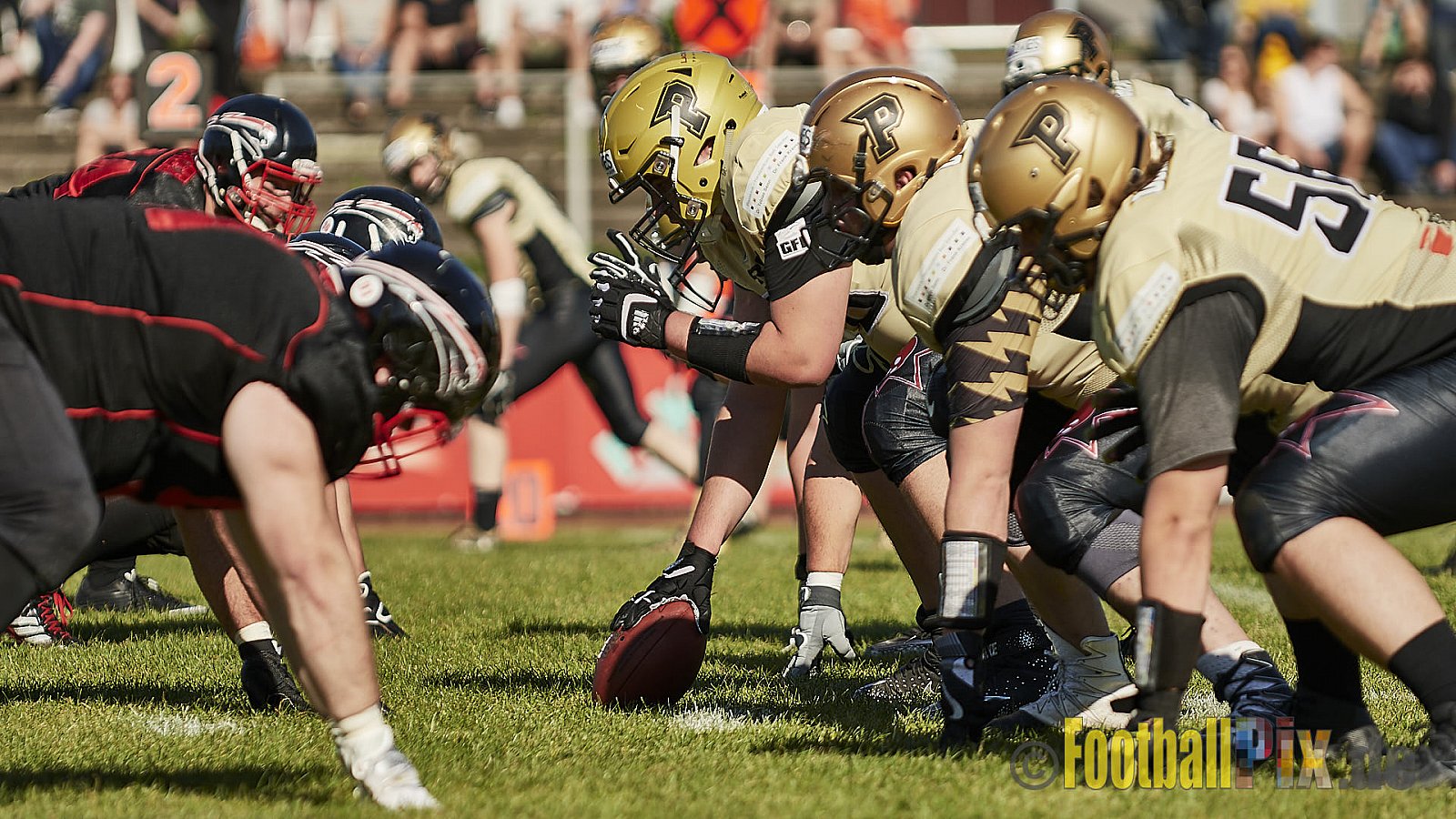 Düsseldorf Panther vs. Paderborn Dolphins - DPantherVsPaderbornDolphins