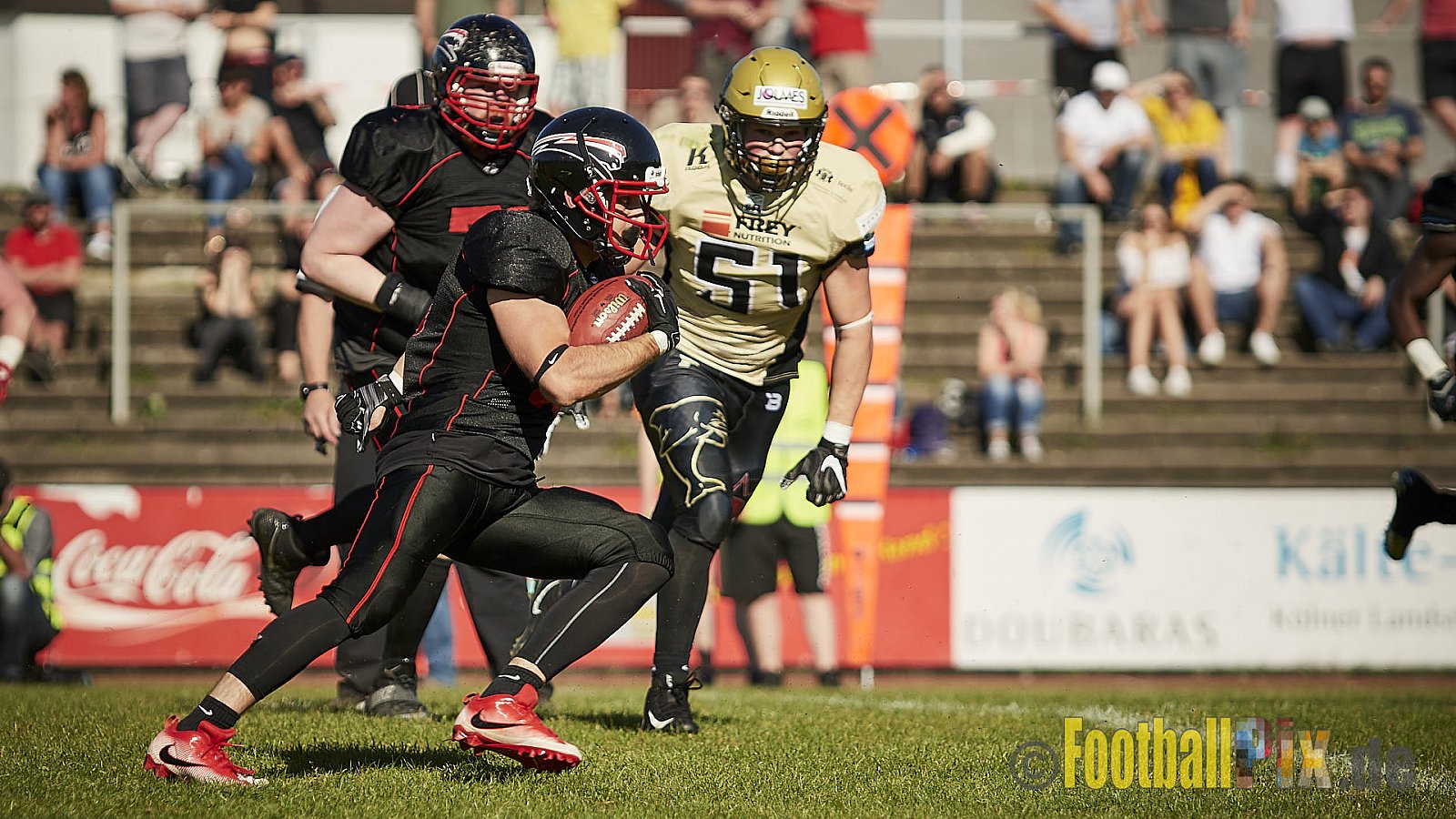 Düsseldorf Panther vs. Paderborn Dolphins - DPantherVsPaderbornDolphins