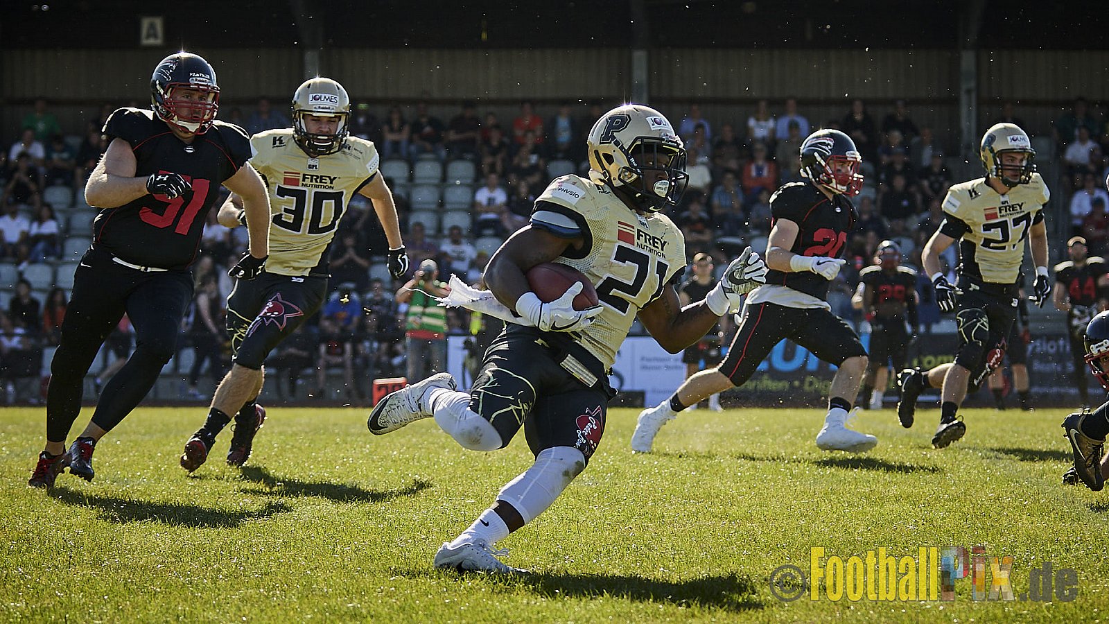 Düsseldorf Panther vs. Paderborn Dolphins - DPantherVsPaderbornDolphins
