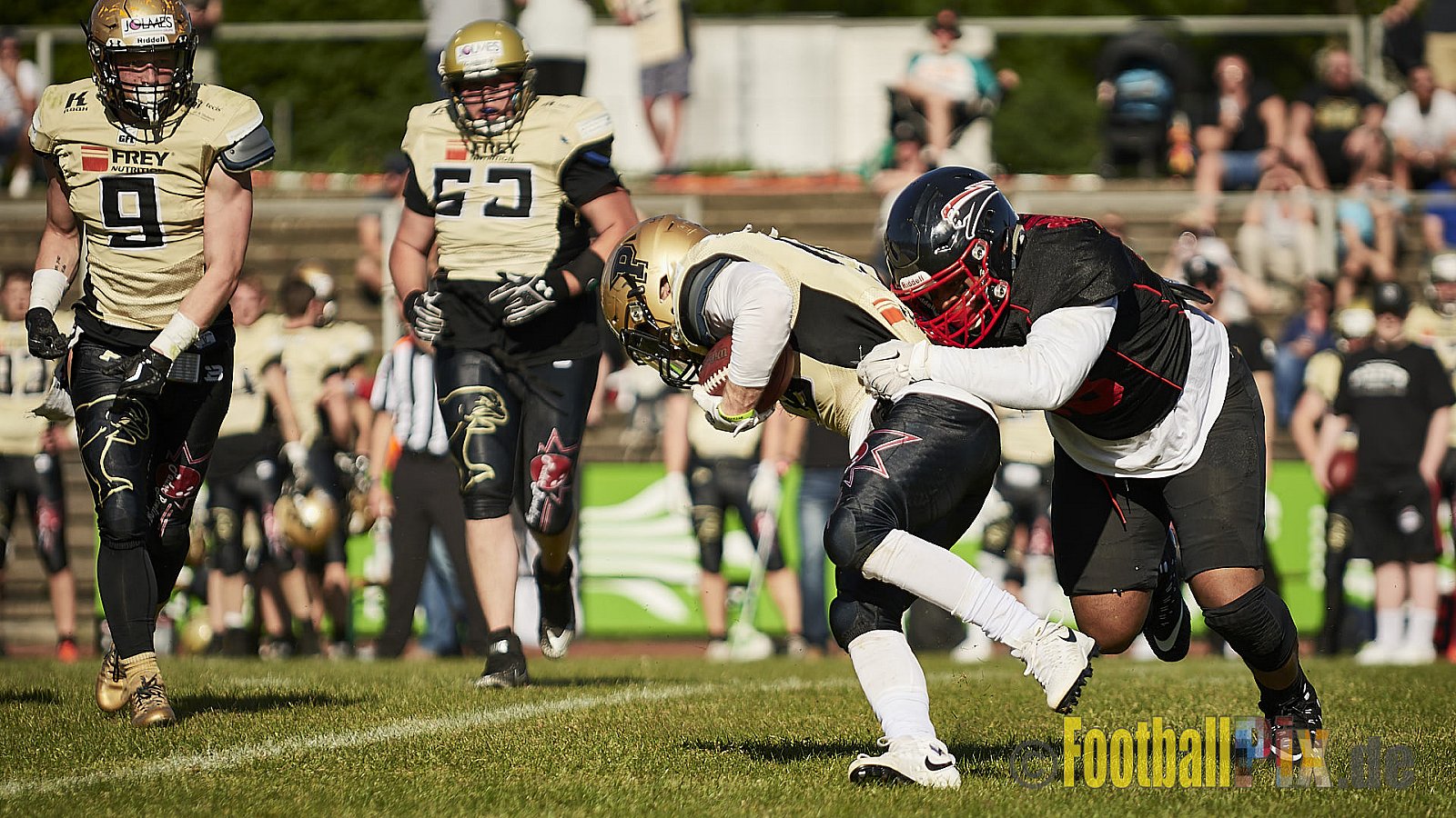 Düsseldorf Panther vs. Paderborn Dolphins - DPantherVsPaderbornDolphins