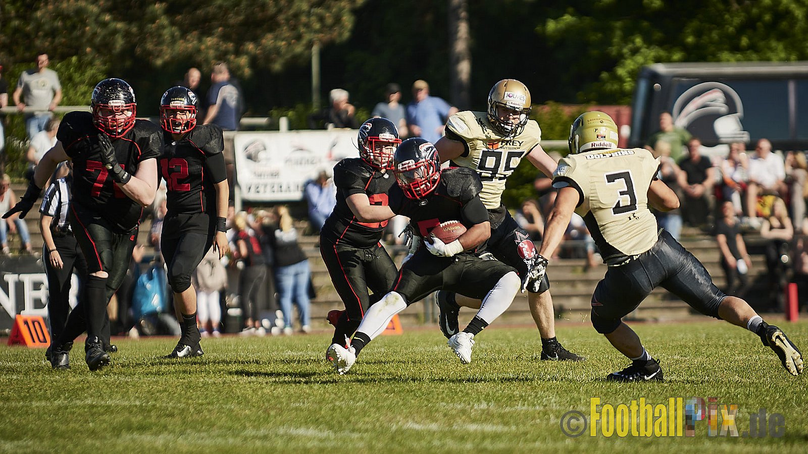 Düsseldorf Panther vs. Paderborn Dolphins - DPantherVsPaderbornDolphins