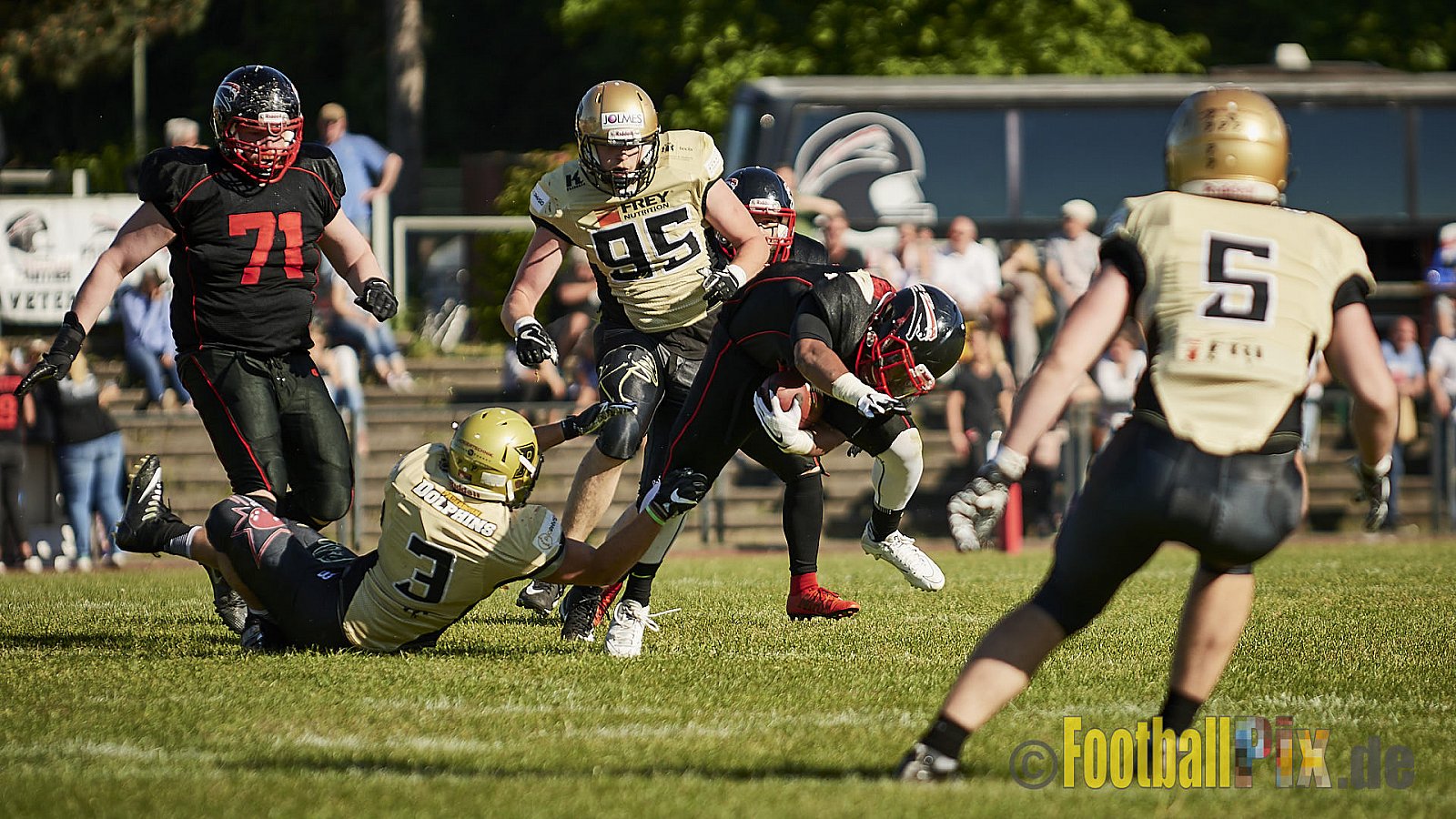 Düsseldorf Panther vs. Paderborn Dolphins - DPantherVsPaderbornDolphins